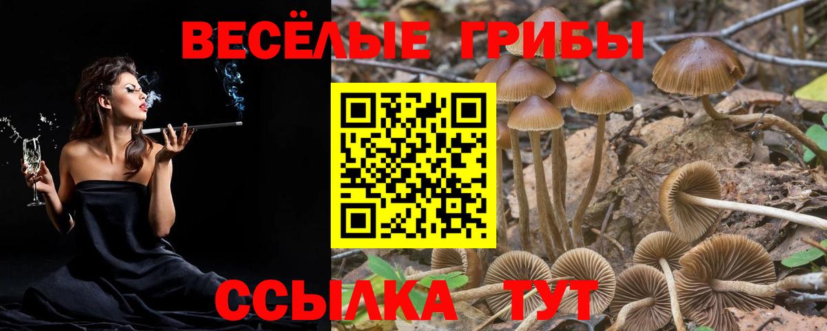 Псилоцибиновые грибы ЛСД  Псилоцибиновые грибы мухоморы  Вход с VPN  Ялта 